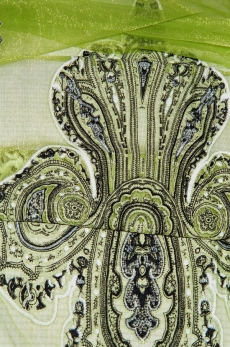 Organza Schal, green